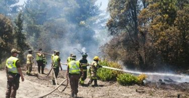 incendios forestales en el centro-sur