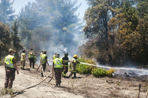 incendios forestales en el centro-sur