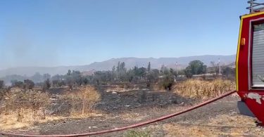 [AHORA] Incendio forestal