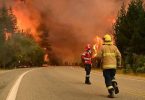 incendio forestal en la Patagonia