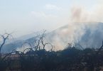 Incendio forestal en Colina