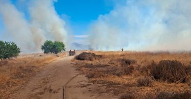 Incendio forestal en Lampa afecta más de 10 hectáreas