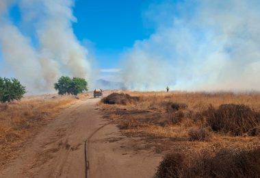 Incendio forestal en Lampa afecta más de 10 hectáreas