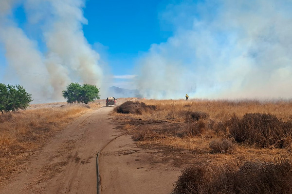 Incendio forestal en Lampa afecta más de 10 hectáreas