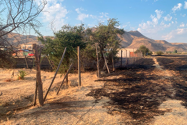 Incendio forestal en Colina