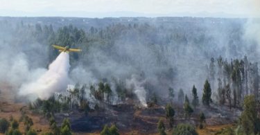 Ipsos incendios 10/02/26