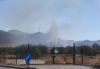Incendio Forestal Pudahuel