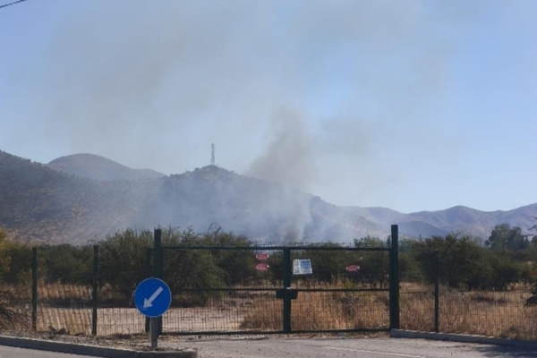Incendio Forestal Pudahuel