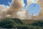 Incendio forestal en San Fernando