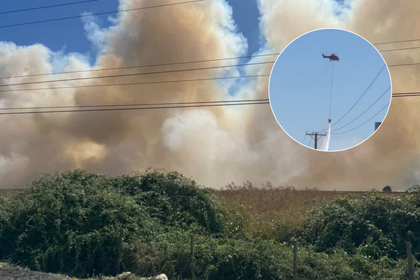 Incendio forestal en San Fernando
