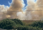 Incendio forestal en San Fernando