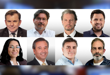 Diputados distrito 8