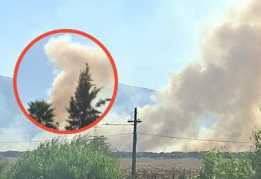 [LAMPA] Incendio forestal