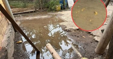 Glorias Navales Colina