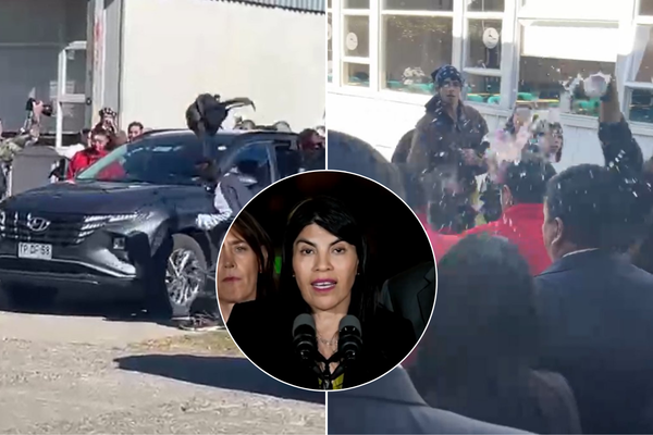 UDI impulsa proyecto para quitar gratuidad