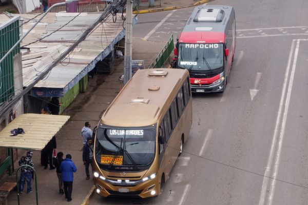 Fiscalizan buses Colina