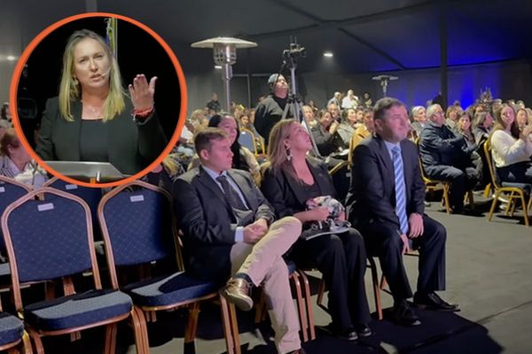 Inédita cuenta pública de Colina