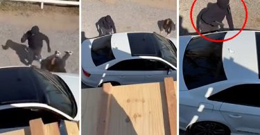 [VIDEO] Violento robo