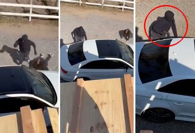 [VIDEO] Violento robo