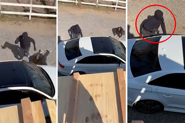 [VIDEO] Violento robo