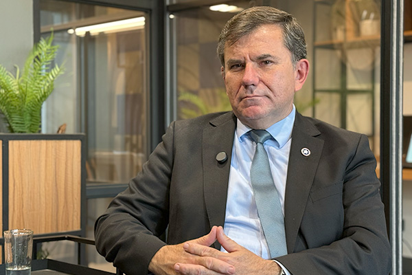 crisis de seguridad