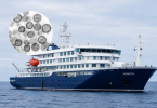 cepa de hantavirus crucero