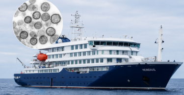 cepa de hantavirus crucero