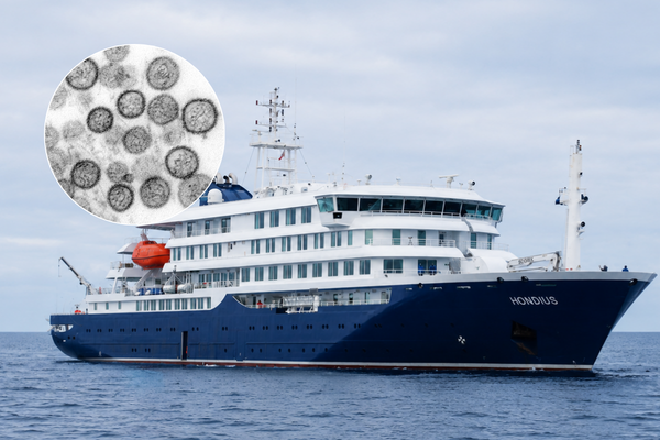cepa de hantavirus crucero