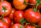 denuncia FNE tomates