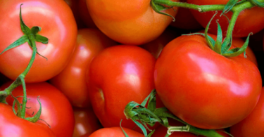 denuncia FNE tomates