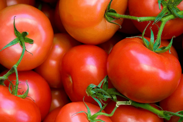 denuncia FNE tomates