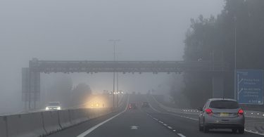Intensa niebla