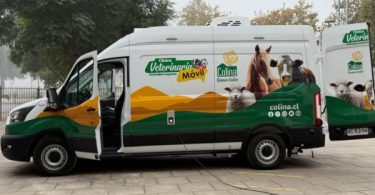 animales mayores