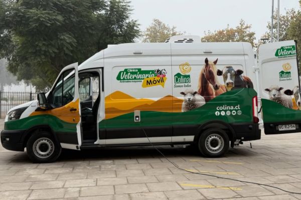 animales mayores