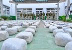 decomiso de droga en Chile