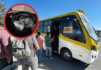 estrés laboral en conductores