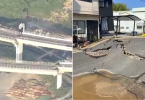 Terremoto en Japón