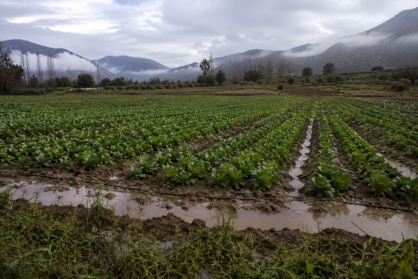 emergencia agrícola