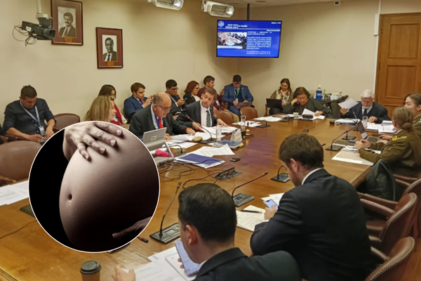 maternidad subrogada