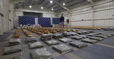PDI incauta más de 800 kilos de droga