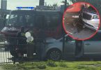 Accidente de tránsito