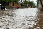 Alerta Sanitaria