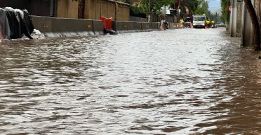 Alerta Sanitaria