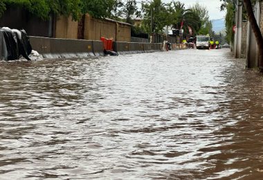 Alerta Sanitaria